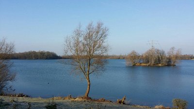 앙거문더 호(앙거문더 제)